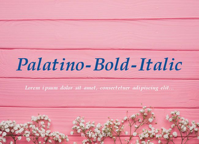 Palatino-Bold-Italic example
